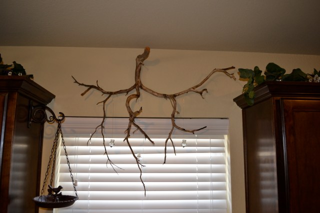 march 3, house stuff and sheep 001