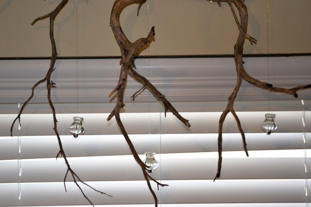 march 3, house stuff and sheep 002