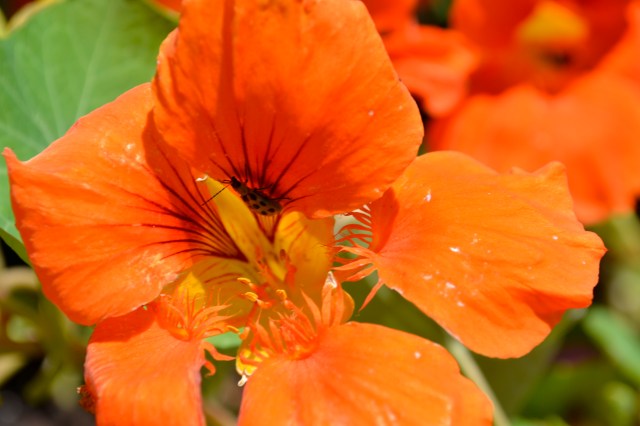 april 27, birthday to OKC 016