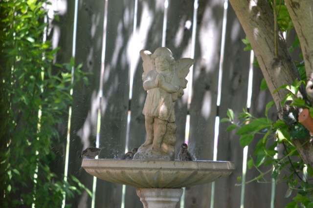 april 27, birthday to OKC 023