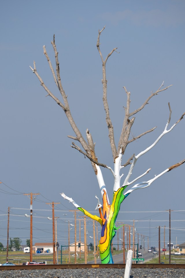 Chi's graduation, Joplin 145