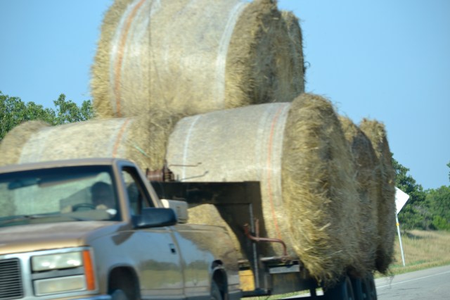 enid, ribbons, tractors, 037