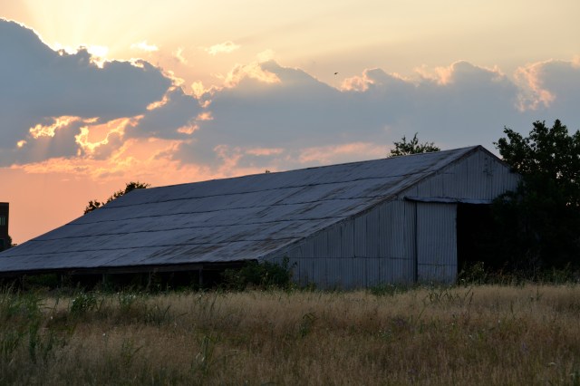 enid, ribbons, tractors, 047