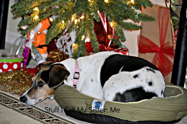 The quiet ones are always the ones you need to keep your eye on ~