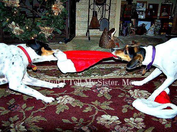 No, this hat is MINE!