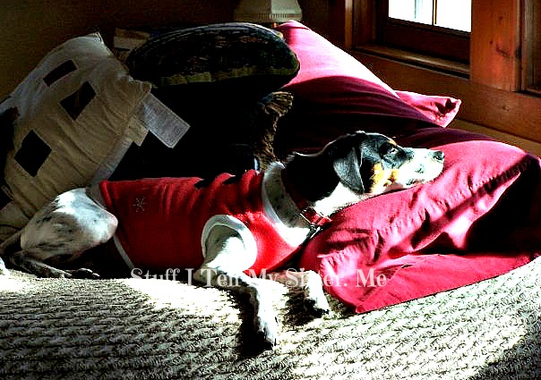 Baby's favorite sun "spot".