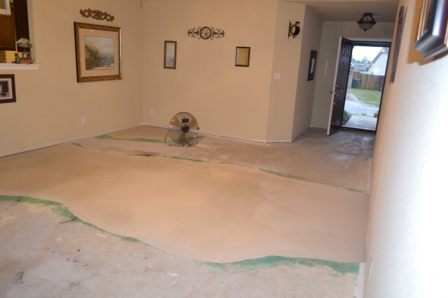 Waiting over night for leveling to dry