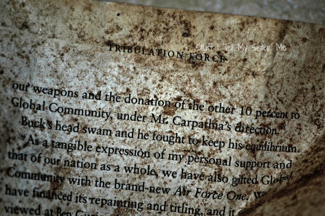 The Tribulation Force