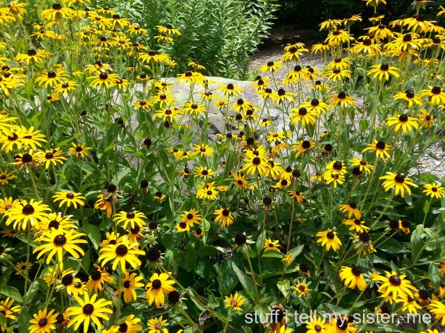 Bass Pro Shop Flowers