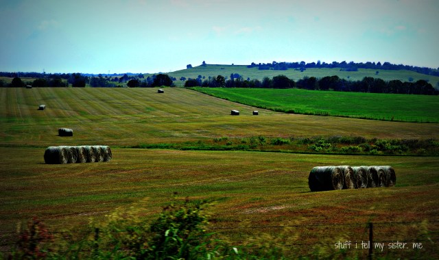 stillwater hayfield