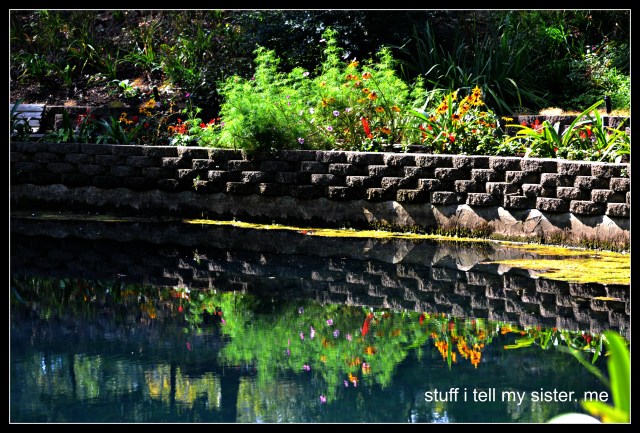 fall vacation flowers blue springs