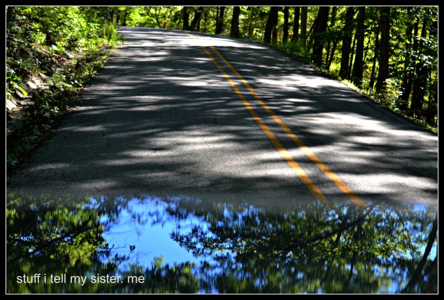 fall vacation flowers car road