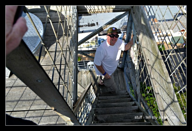 fall vacation tower marvin