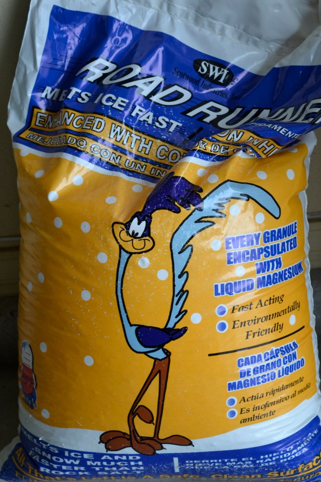 snow and park 2013 074