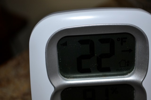 snow and park 2013 125