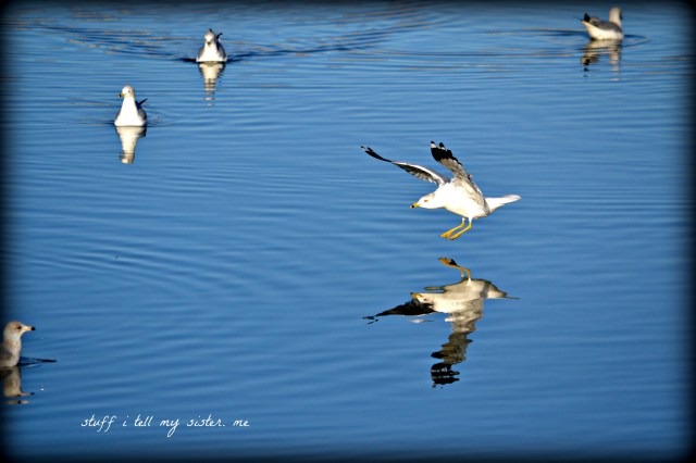 Sunday photos ~ warm jan3