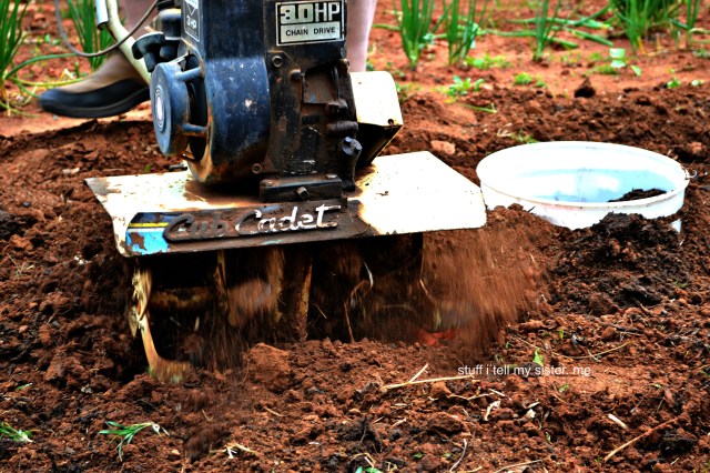dad's garden and tiller5