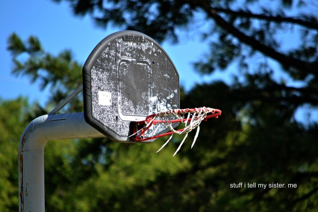 dumpster diving basketball goal