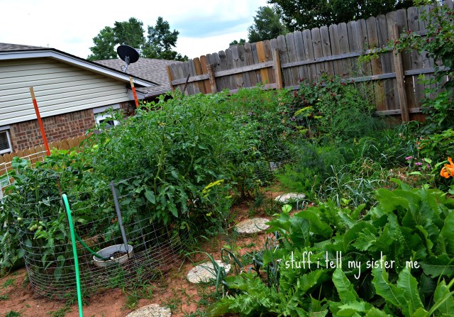 new toma.....mom and dad