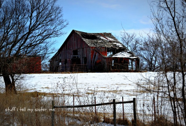 blue whale and snow barn